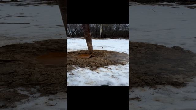 4.000.000 за сутки посмотрели этот ролик в тик токе 🔥🔥🔥