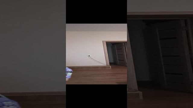 1000003735.mp4