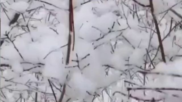 АКЦИЯ «ЗИМНЯЯ СКАЗКА – РУЧНАЯ ПЛАСТИКА ВСЁ ПО 30!»