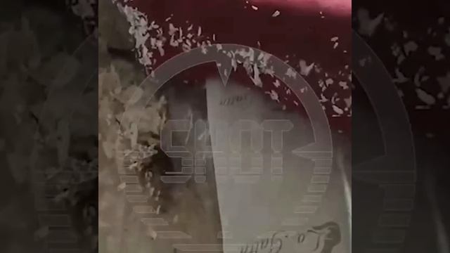 ВАЛЬБЕРИС