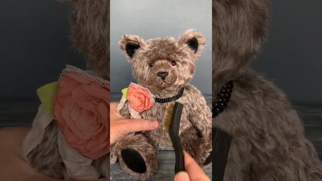 Teddy Bear Collection