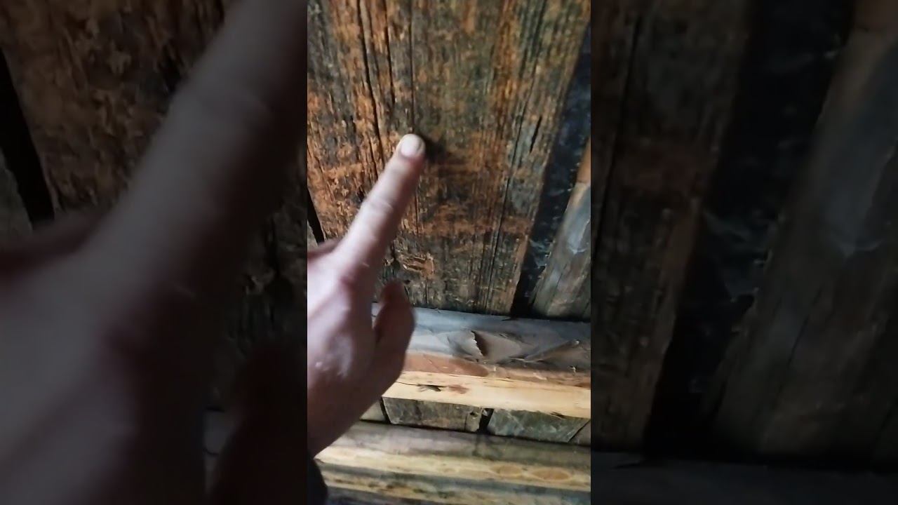 6 сентября 2024 г.