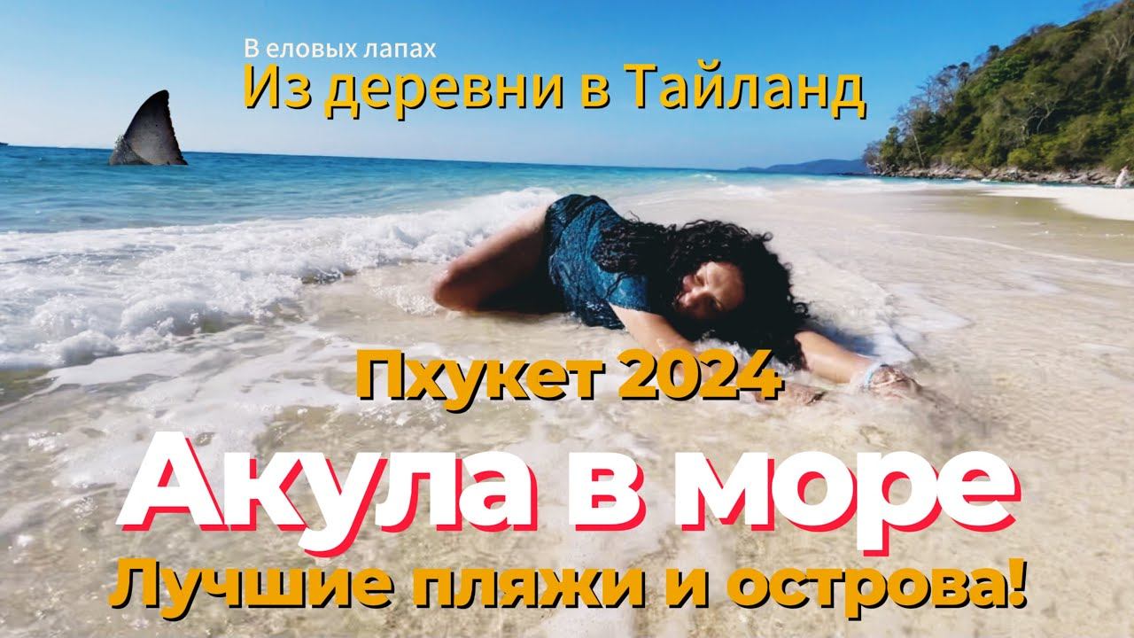 Акула на Пхукете! Пхукет 2024! Лучшие острова и пляжи Тайланда. Пхи-пхи, о. Джеймса Бонда, Баунти