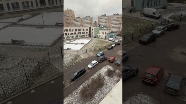 ЛЕГАЛ СГУ LAST