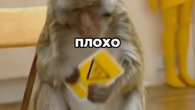 Я бы тоже прихуел