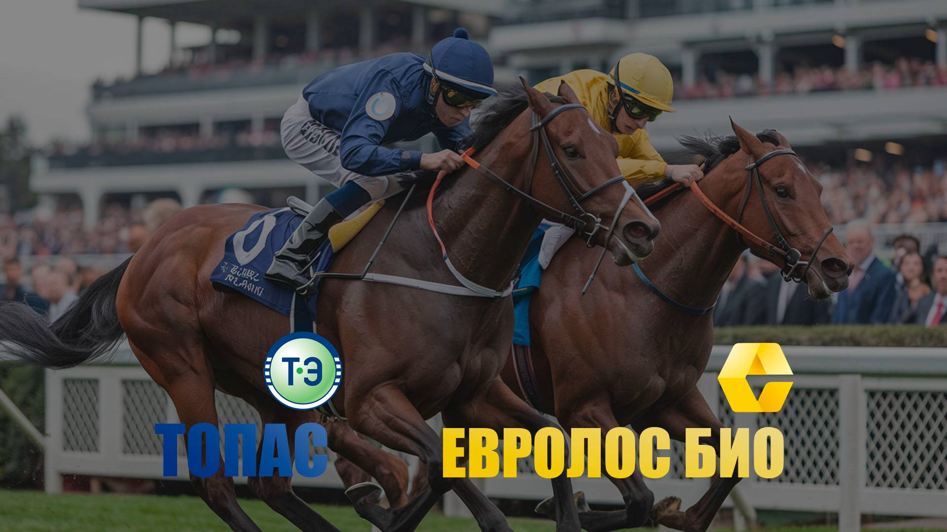 Топас или Евролос БИО - какой септик лучше