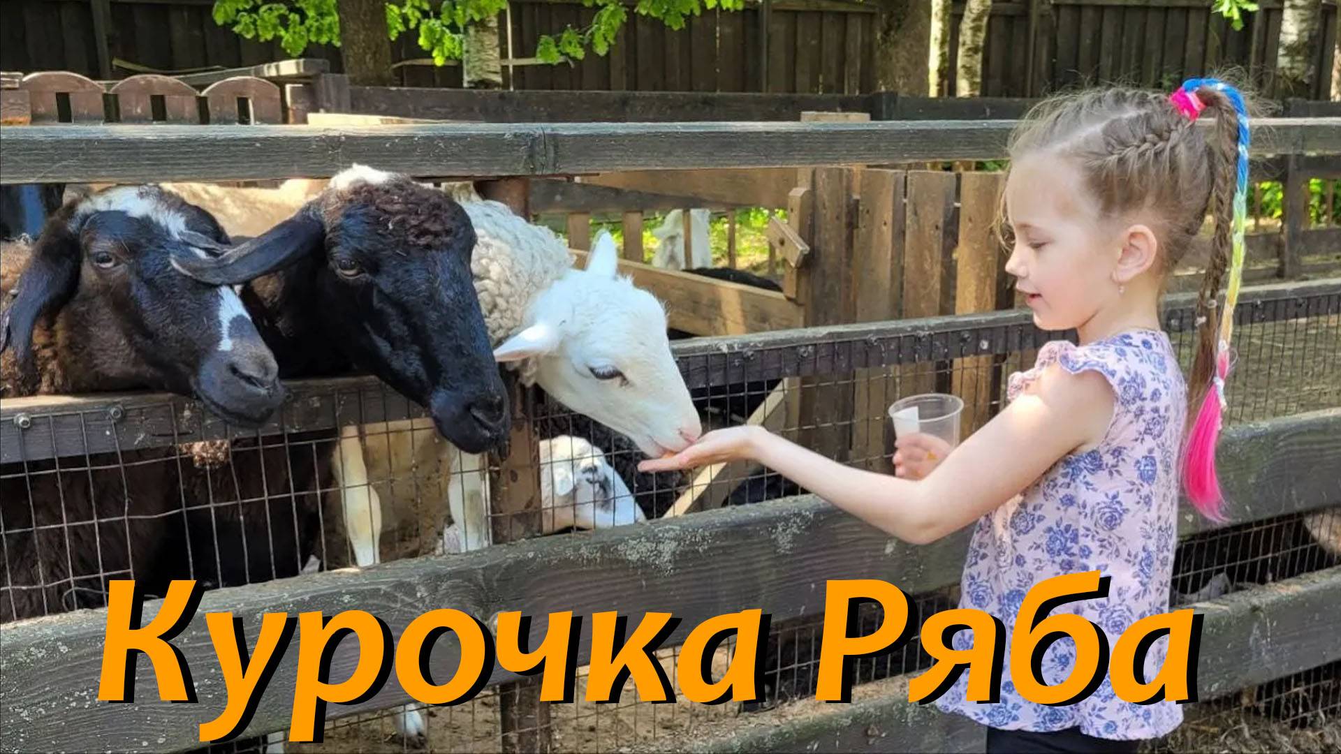 Усадьба "Курочка ряба". Ленинградская область #отдых #усадьба #зоопарк