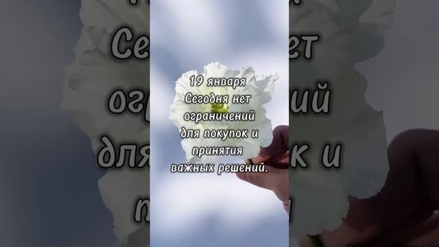 #числоудачи #числосудьбы #нумерология #нумерологияпрогноз #матрицасудьбы  #мудрость #карма #таролог
