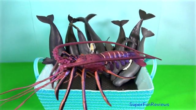 NEW Sea Animals Whales  Killer Whale Blue Whale Sperm Whale Humpback 13+