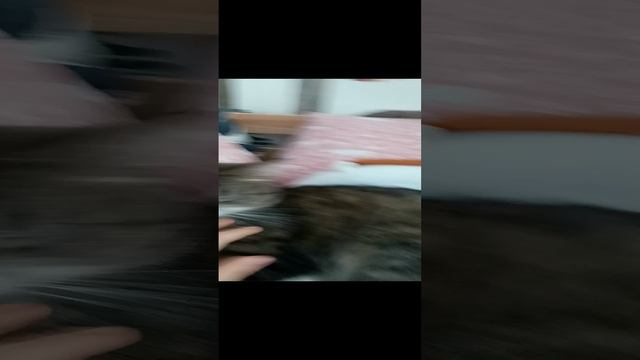 1000009689.mp4