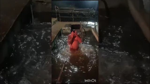 InShot_20250119_080656713.mp4