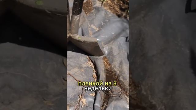 СУПЕР инструмент для огорода #дача #сад #огород