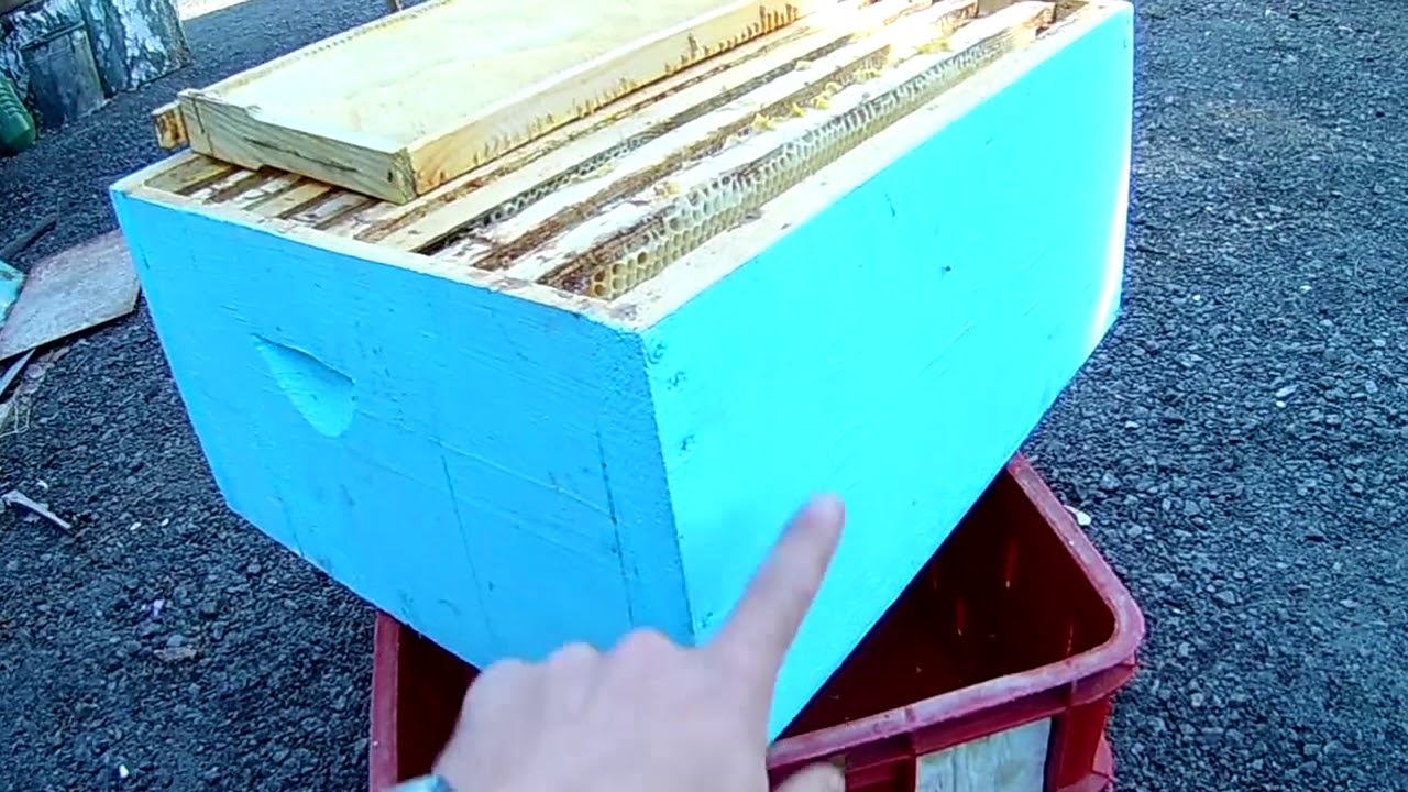 Пчеловодство. Корпус Рута.Просто и быстро.