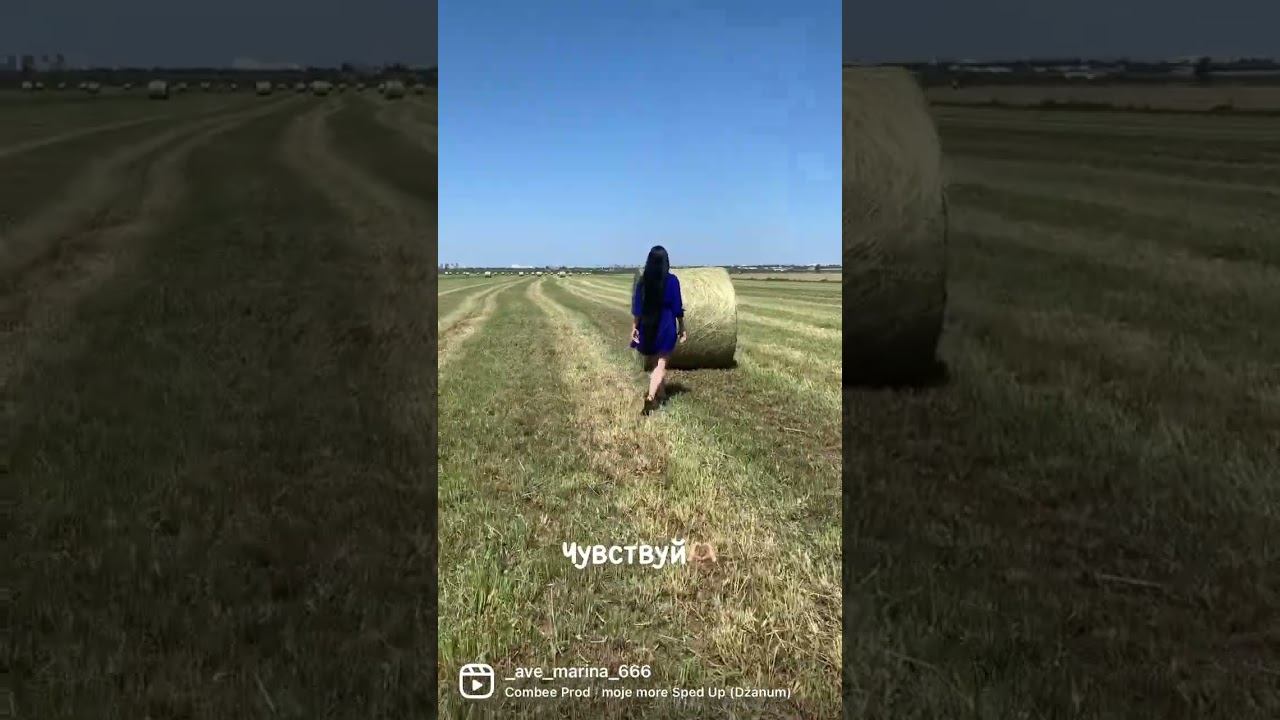 Лови момент