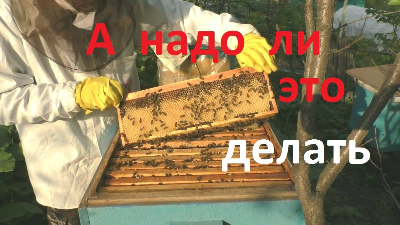 Обязательно ли разбирать гнездо пчел