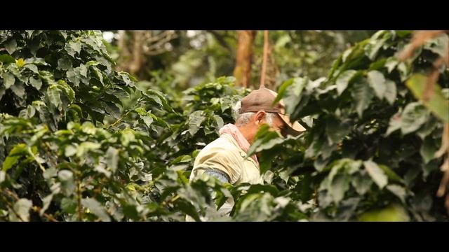 Exotic coffee roasters