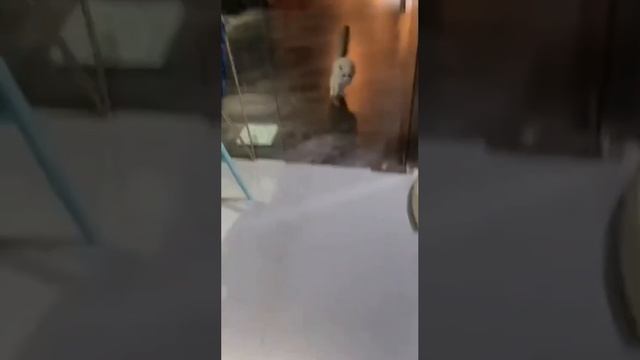 1000071818.mp4