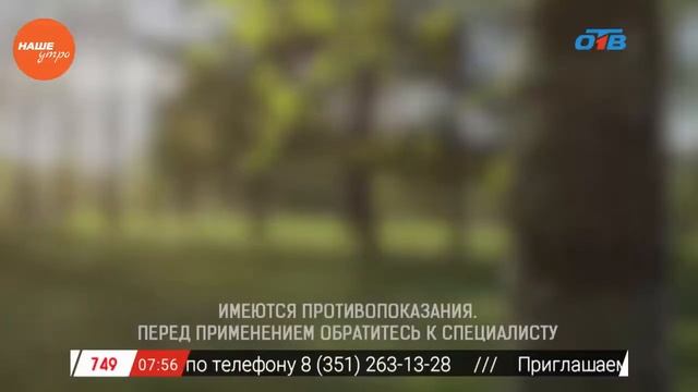 Кора осины. Лечебные свойства