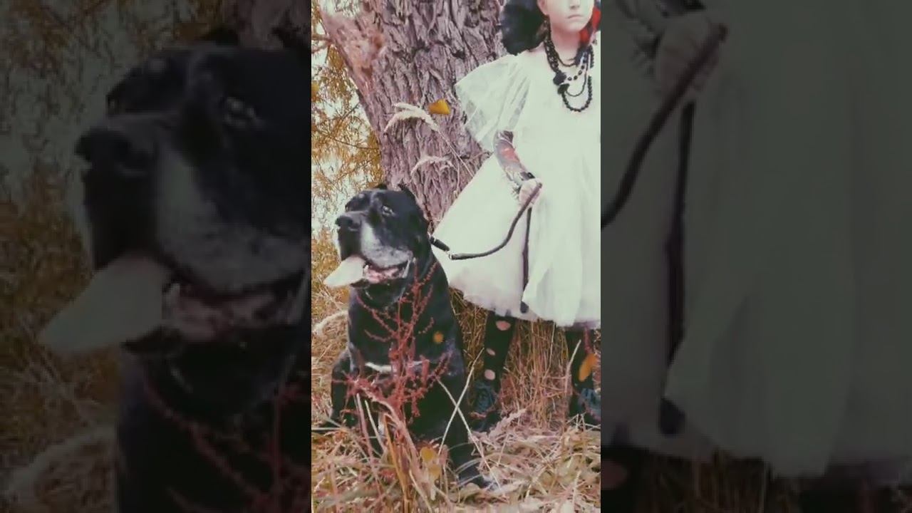 Фотосессия в платьях от TANYA CHE