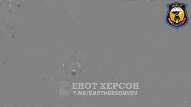 «Иксоводы» 98 дивизии ВДВ уничтожили САУ противника барражирующим боеприпасом «Ланцет» в районе н...