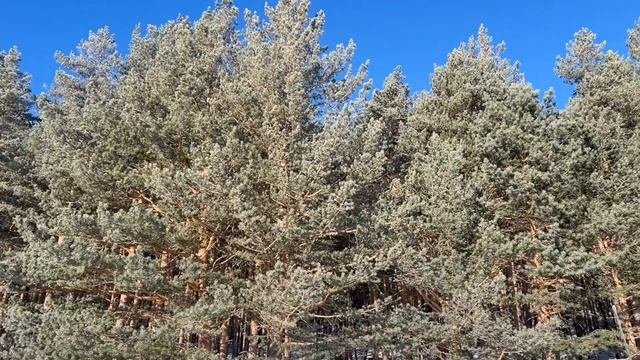 Поездка с колонной 61