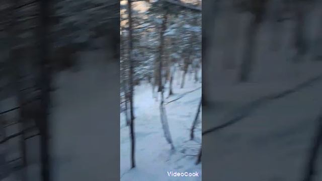 Южно-Сахалинск 2025