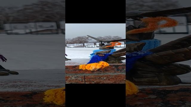 Шишиги - Летуны на площади Славы