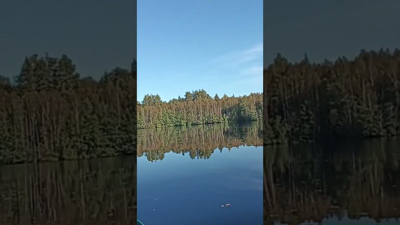 На рыбалке #лето #рыбалка