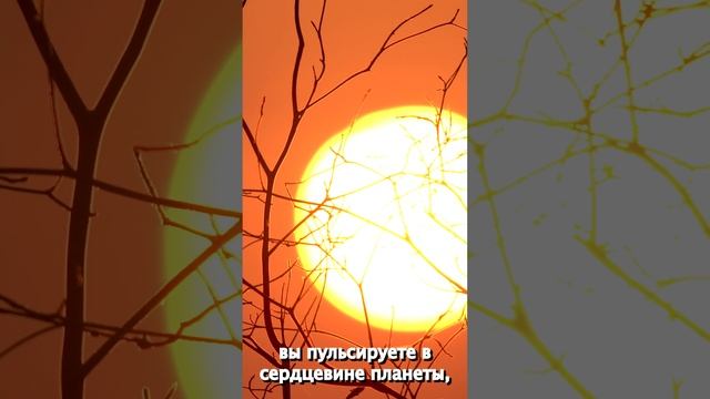 Вы будете СИЯТЬ в любой природном мгновении жизни, когда ... (отрывок из книги Владимира Бертолетова