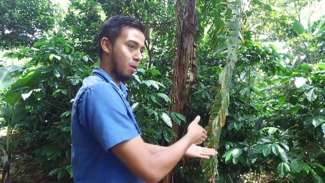 Finca Rosa Blanca Coffee Plantation. San Jose, Costa Rica, Episode 1 of 4