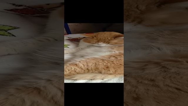 когда ты настолько старый,что мылся и уснул