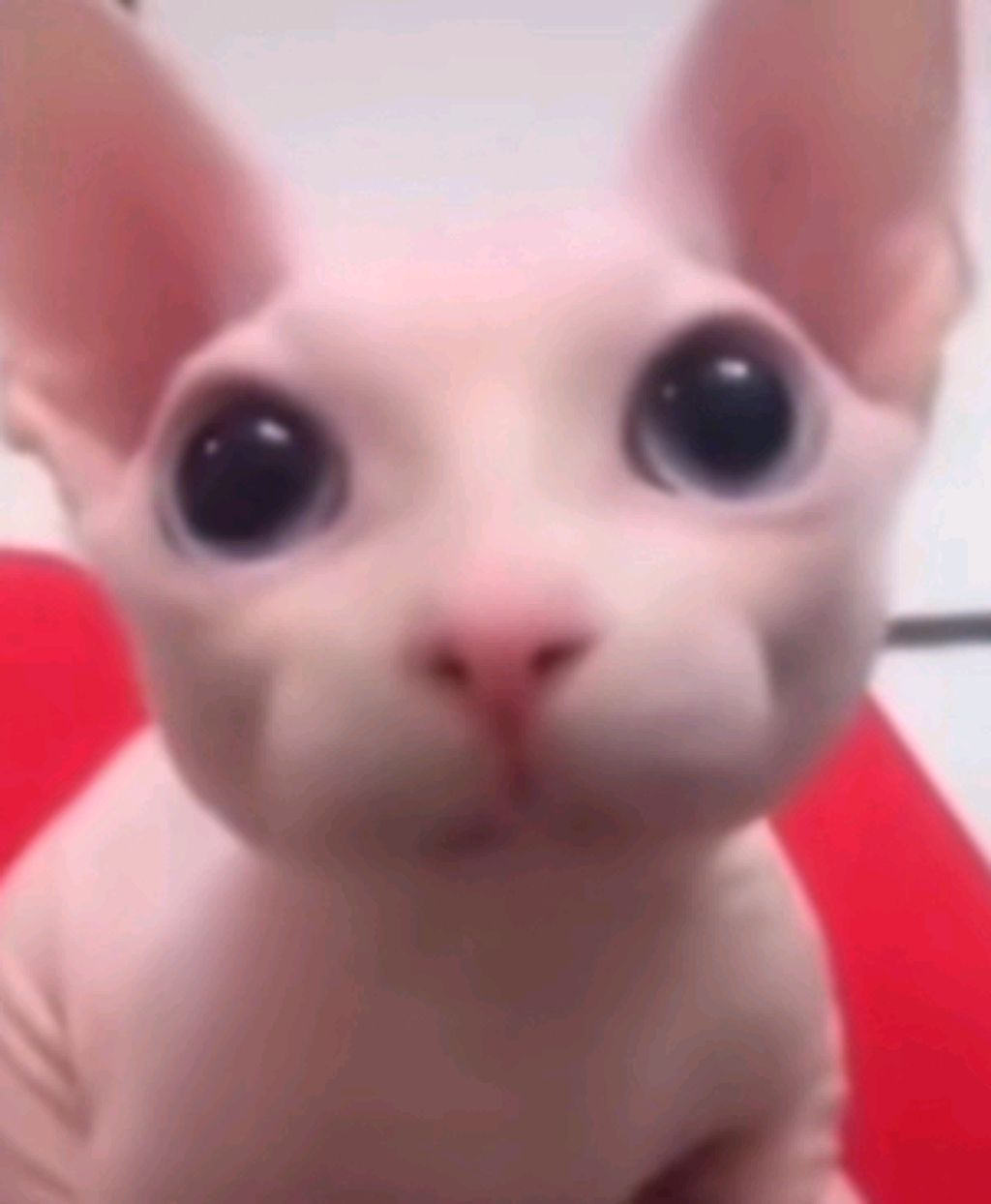 показываю промыв стенд