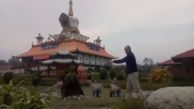 Диагностика Кармы. Учебное видео 5, Евгений Лугов, Дистанционная работа по фантому, энерготерапия.
