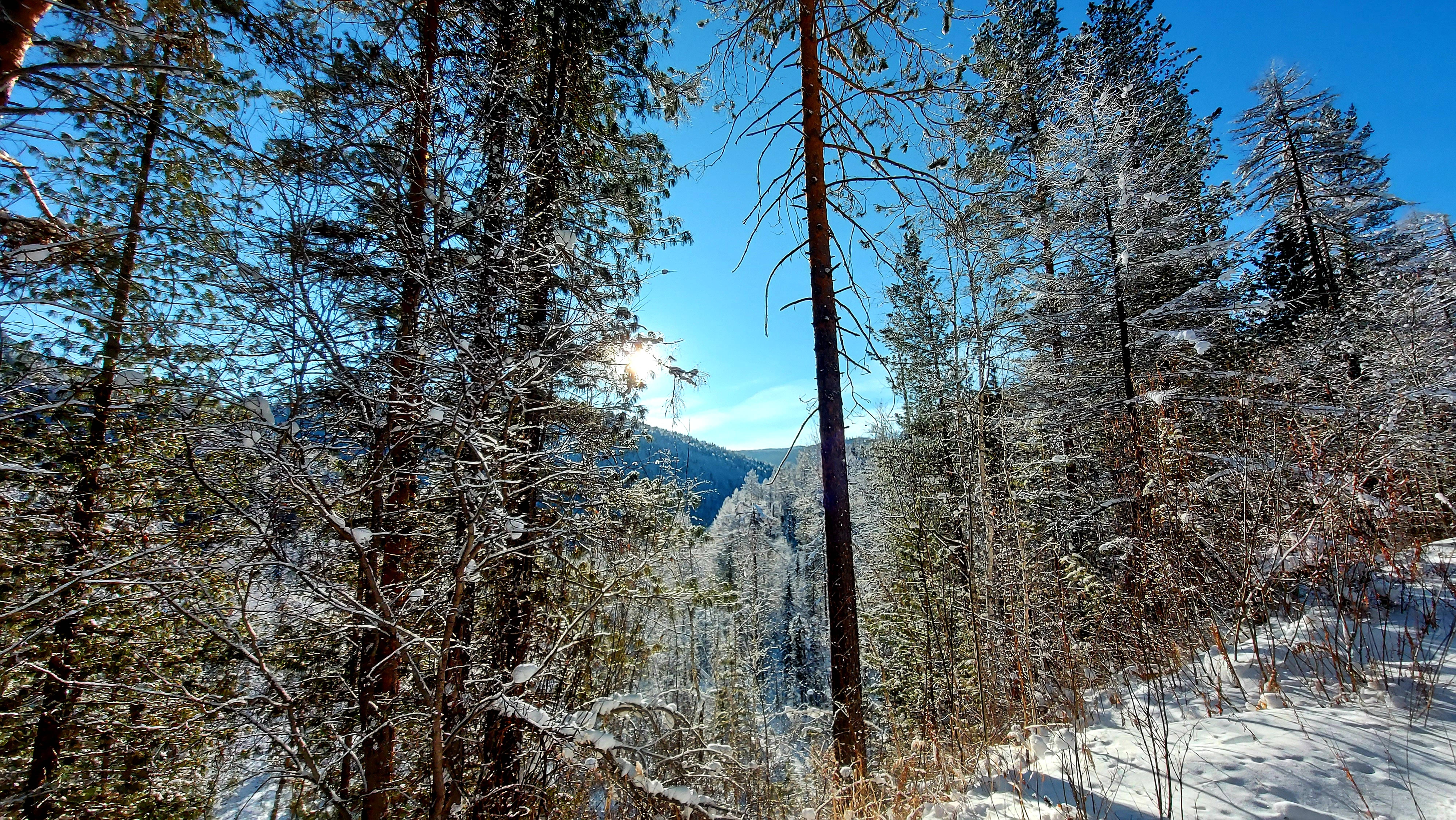 Мы на проверке. Соболиная дискотека...