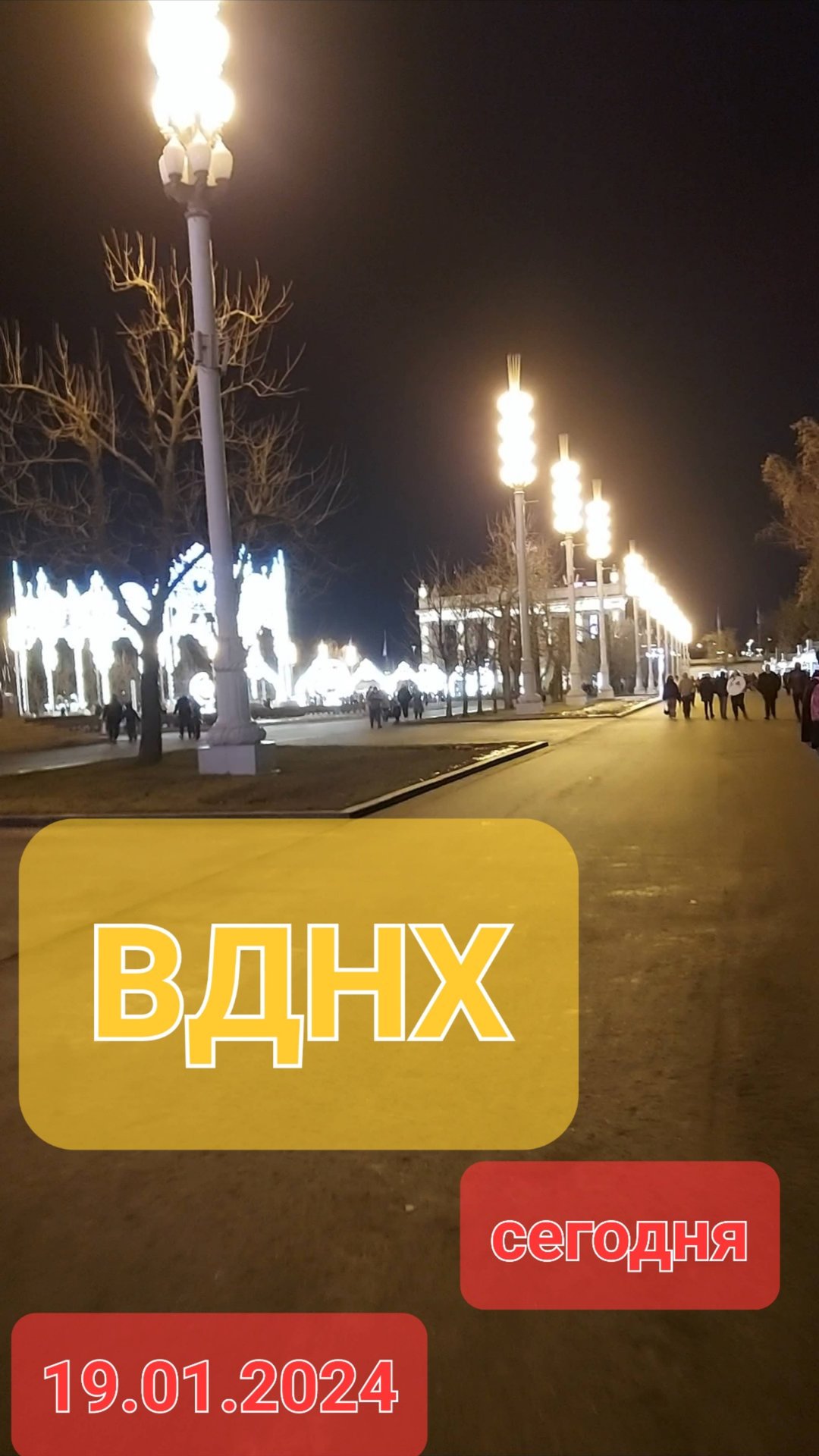 ВДНХ сегодня 19.01.2025