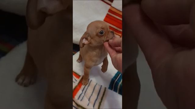1000030260.mp4