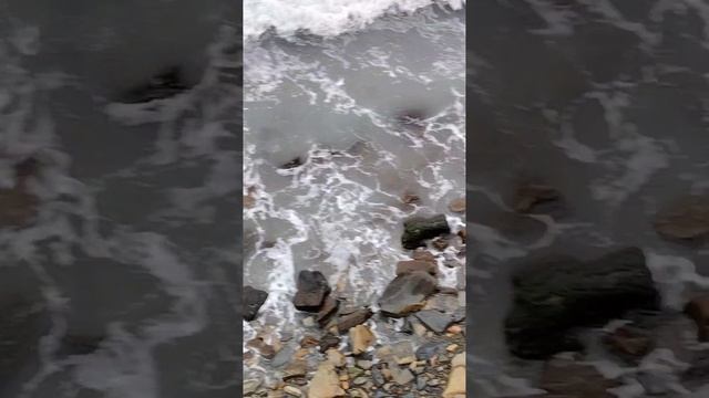 Анапа 19.01.2025 Высокий берег