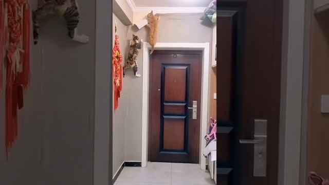 Монтажники нужны?!😁
