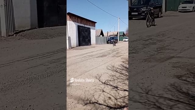 С ВЕТЕРКОМ