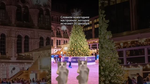 21 декабря 2023 г.