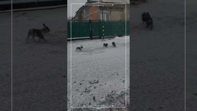 1000000792.mp4
