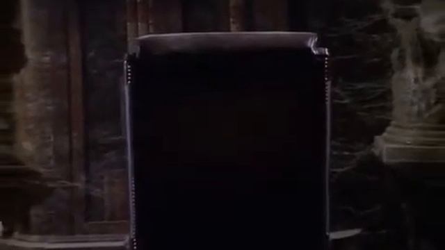 Зловещий смех кота Сэйлема