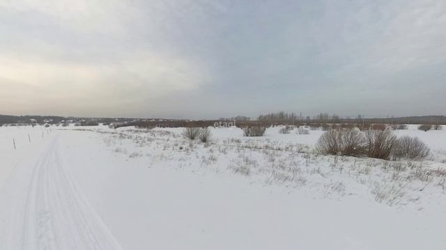 4378921,  Коняшина