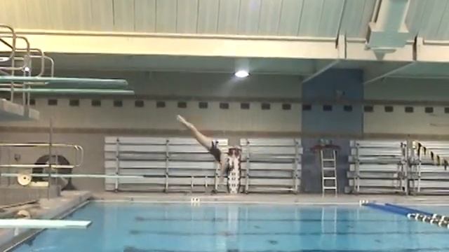 Tara Hyer Diving