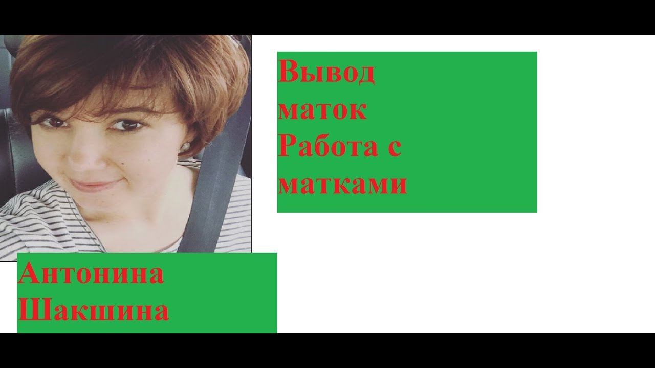 Пчеловодство.Антонина Шакшина Омск 2018 &