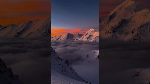 1000025558.mp4ьь