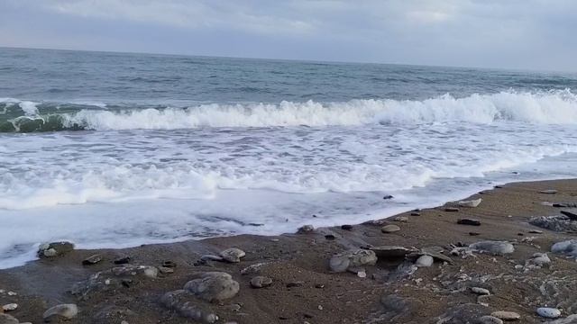 #расслабься#Внимание#19. 01.2025#