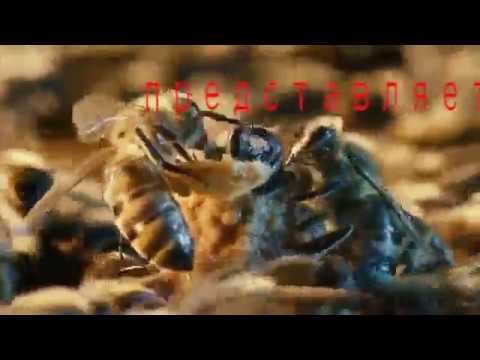 Тележка для мотоблока своими руками.