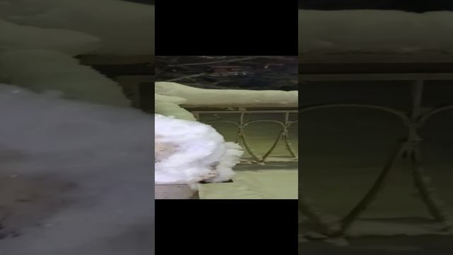 ВОТ ЭТО ПОВОРОТ