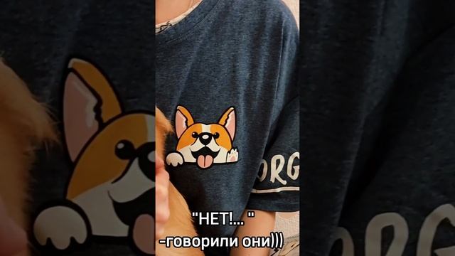Любовь🥰